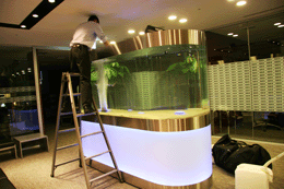 水槽メンテナンス