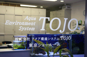 熱帯魚水槽