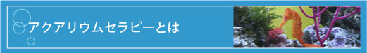 アクアリウムセラピーとは