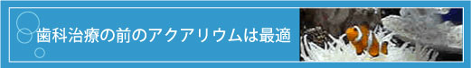 歯科治療の前のアクアリウムは最適