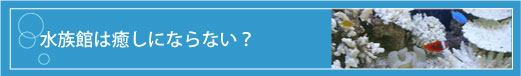 水族館は癒しにならない？